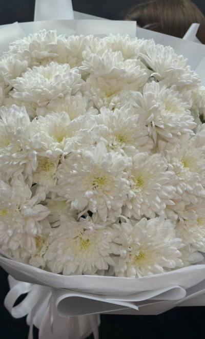 Моно-букет из хризантем «Трепет»