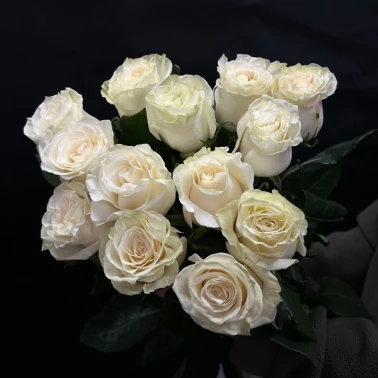 Букет из 13 белых роз под ленту