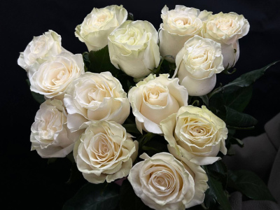Букет из 13 белых роз под ленту