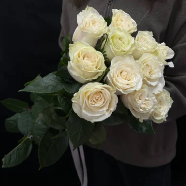 Букет из 11 белых роз под ленту