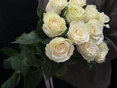 Букет из 11 белых роз под ленту