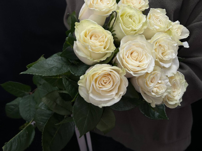 Букет из 11 белых роз под ленту