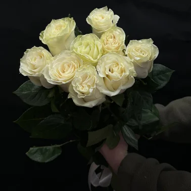 Букет из 9 белых роз под ленту