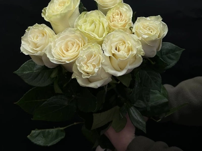 Букет из 9 белых роз под ленту