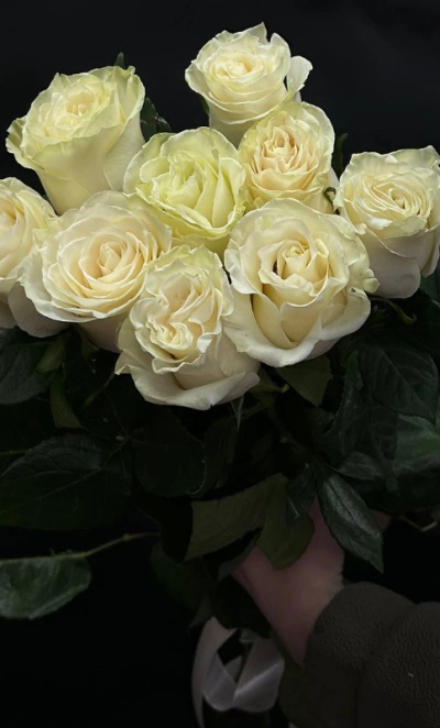 Букет из 9 белых роз под ленту