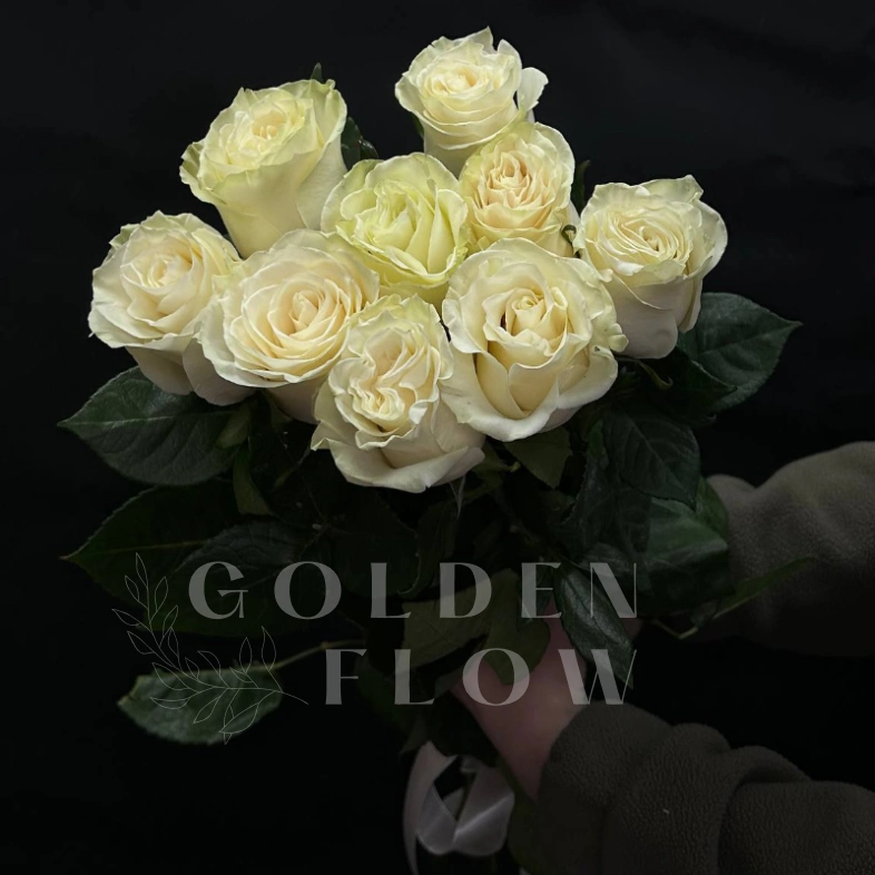 Букет из 9 белых роз под ленту