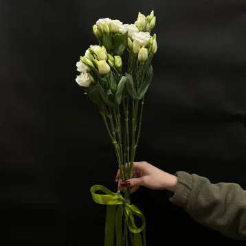 Букет из 3 эустом под ленту