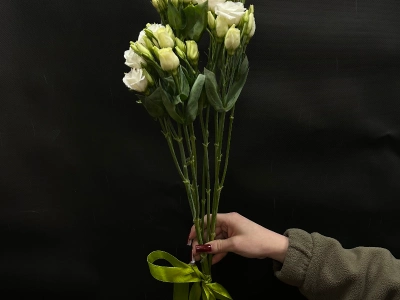 Букет из 3 эустом под ленту