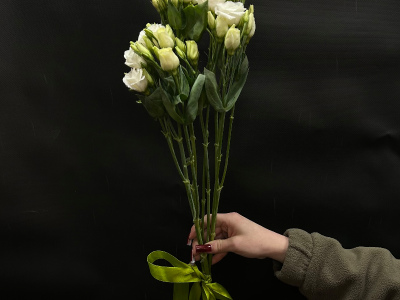 Букет из 3 эустом под ленту