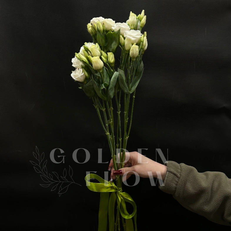 Букет из 3 эустом под ленту