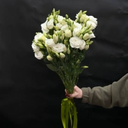 Букет из 5 эустом под ленту  1