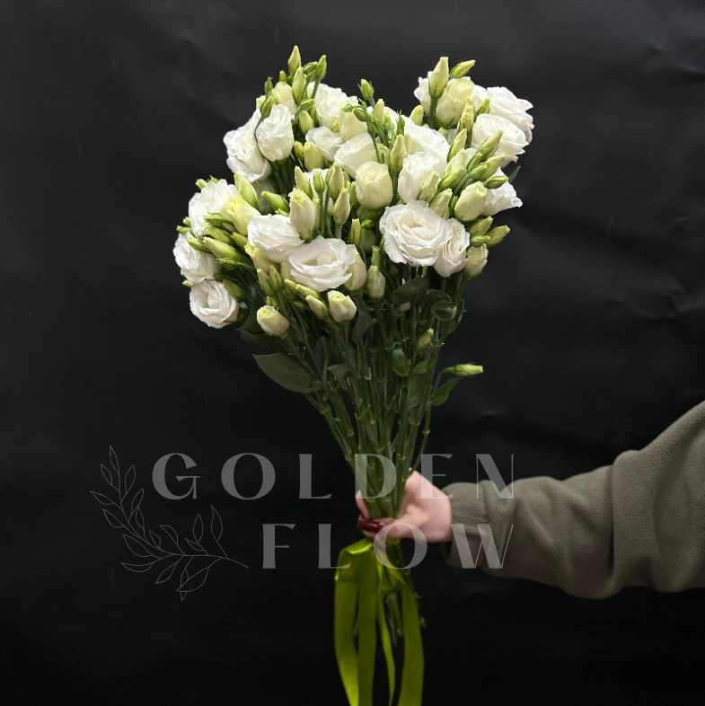 Букет из 5 эустом под ленту 