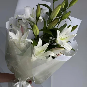 Букет из 5 белых лилий