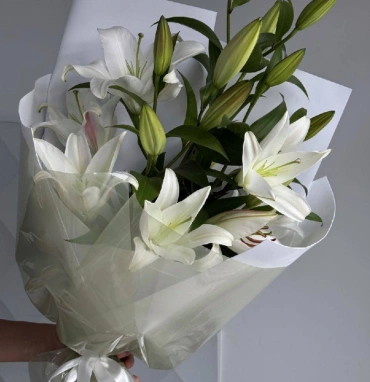 Букет из 5 белых лилий